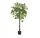 Artificial Flowers and Fruits Ficus in Pot, Green, Tall, 150 cm, Artificial