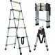 DayPlus Ladder 1.7 m Aluminium 6 to 150 kg