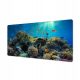  Graphic Desk Pad Vinyl Ocean Depths Reef