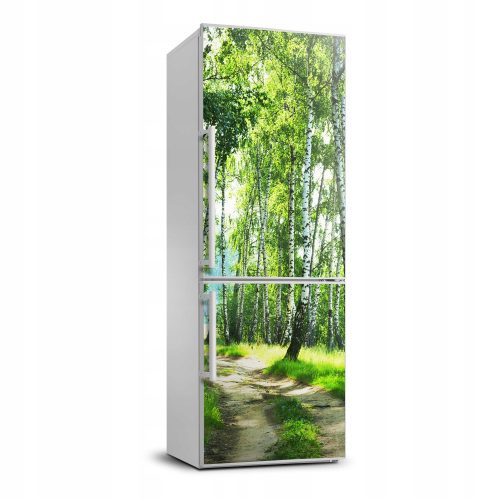 Decorative Wall Stickers Photo Wallpaper Stickers Birch Forest Refrigerator 70x190