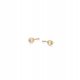  Gold-plated silver earrings with zircons ANIA KRUK