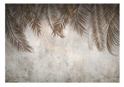 Photo wallpaper PALM LEAVES FEATHERS Concrete Living Room 368x254