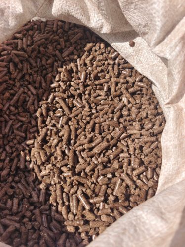 Buckwheat husk pellets, 1000 kg pallet