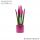  Sansevieria VELVET TOUCHZ PINK + 33CM POT