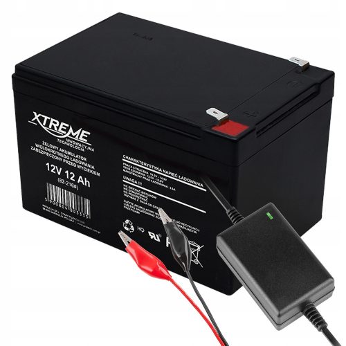  AGM BATTERY 12V 12Ah HQ TOYS BICYCLE CHARGER