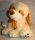  PLUSH MASCOT DOG LARGE NEW WITH LABEL