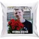 Cool, funny gadgets GREAT PILLOW GIFT WOMEN'S DAY VALENTINE'S DAY MR1