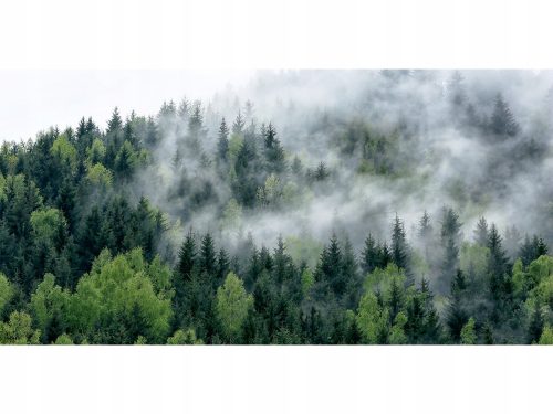  Fashionable Desk Mat 120x60 Forest in the Fog