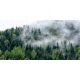  Fashionable Desk Mat 120x60 Forest in the Fog