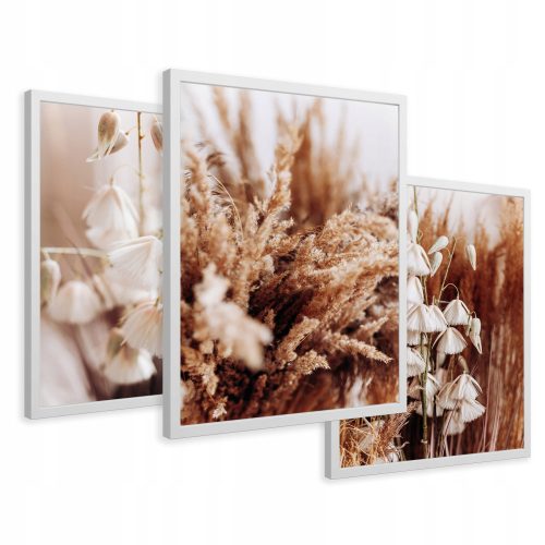 Pictures on the wall Framed pictures dry grass boho flowers 43x99