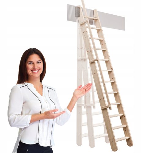 Kornik wooden ladder with handrail, 304 cm