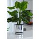  Kerd flowerpot 17.8 cm x 18.5 x 17.8 cm diameter 18.5 cm plastic chrome