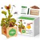  Dionaea Muscipula Venus Flytrap Cultivation Kit