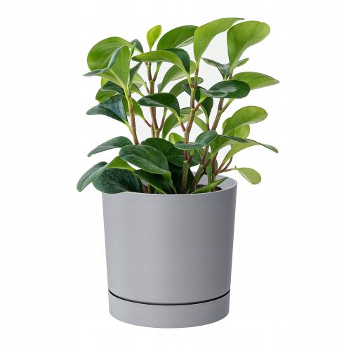  Prosperplast flowerpot, 30 cm x 30 x 28 cm, diameter 30 cm, plastic in grey and silver