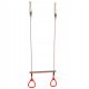 trapeze swing with handles for the playground