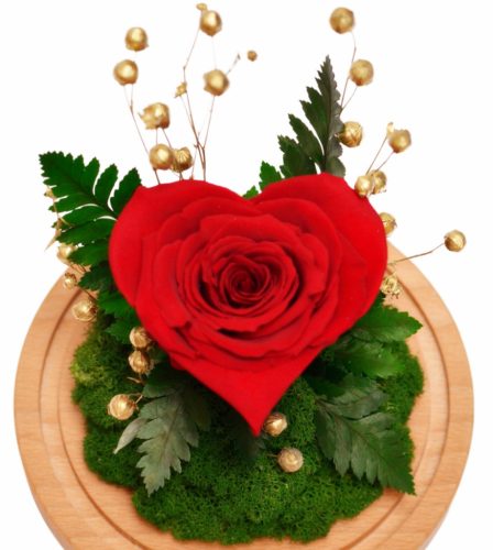 Flowers and flower boxes for Valentine's Day Eternal rose in a glass, fern and moss - RED Forest