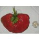  Wild strawberries and giant strawberries in containers up to 0.5l, 15-20 cm