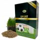  Lawn grass mixture, sports granules 40 m² 1 kg