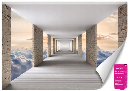 Non-woven wallpaper - Heavenly Journey 400x280