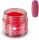  Elisium Acrylic Powder Red 23g