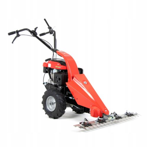  Petrol lawn mower without basket Favorit 196 cm³ capacity. Basket 0 l (dm³) l 87 cm