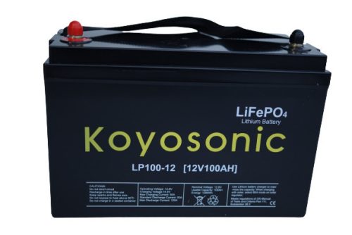 Maintenance-free LIFEPO4 LITHIUM BATTERY 100AH BMS