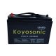 Maintenance-free LIFEPO4 LITHIUM BATTERY 100AH BMS
