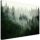 Images sur le mur, image sur toile, forêt nuageuse nature 120x80 120x8