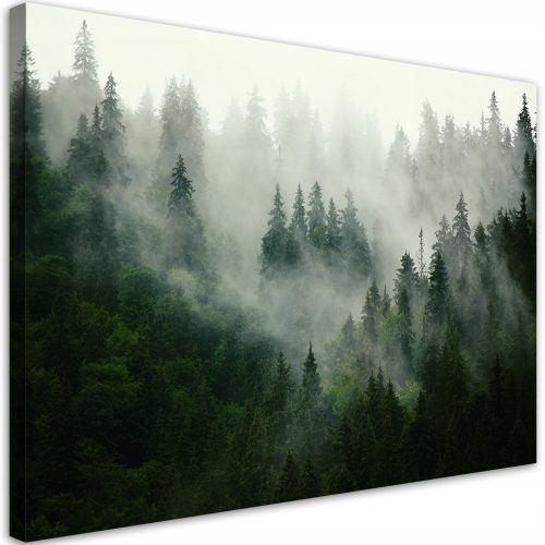 Images sur le mur, image sur toile, forêt nuageuse nature 120x80 120x8