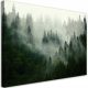 Images sur le mur, image sur toile, forêt nuageuse nature 120x80 120x8