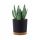  Prosperplast flowerpot 30 cm x 30 x 28 cm diameter 30 cm plastic black, graphite