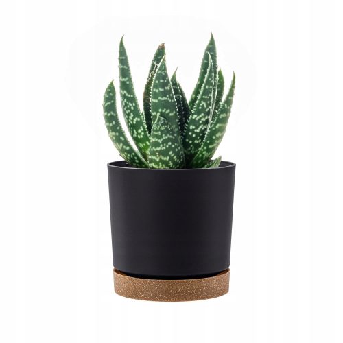  Prosperplast flowerpot 30 cm x 30 x 28 cm diameter 30 cm plastic black, graphite