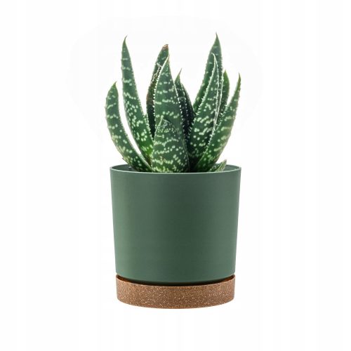  Prosperplast flowerpot 30 cm x 30 x 28 cm diameter 30 cm plastic in green tones