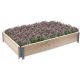  Aga flowerbed 120 cm x 80 x 20 cm made of wood