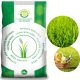  Grass mixture, garden, sport Roens Seeds 500 m² 10 kg