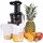  Bass BH10251 250 W vertical slow juicer