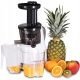  Bass BH10251 250 W vertical slow juicer