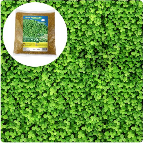  Decorative grass, for dry areas, shady areas, garden, renovation, sports Arpon 400 m² 0.5 kg