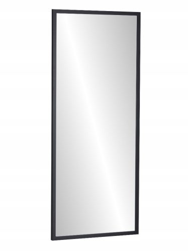 Bathroom mirror Profilmat wall mirror, rectangular, MDF frame, 550 x 1350 mm