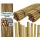 Garden posts for plants bamboo pole 150 cm x 12 mm 200 pcs.