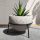  Dekorn flowerpot 14 cm x 14 x 12 cm concrete