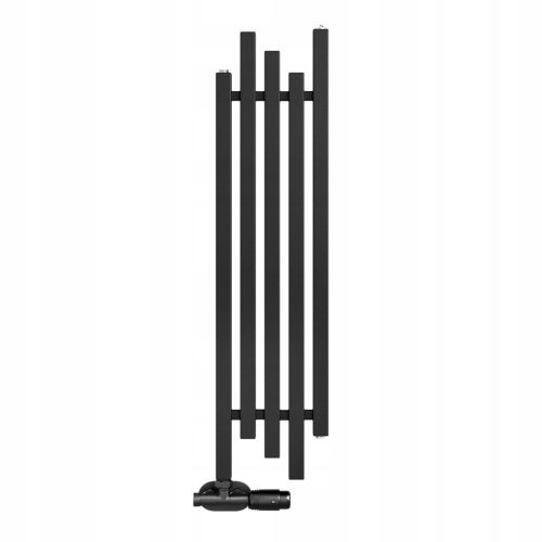  Regnis 630 W 300 x 1000 mm black water bathroom radiator