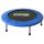 Master Fitness Trampolin 96 cm + MASTERSPORTS Healthy Living Guide