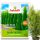  Inco Fruktovit fertilizer for Thuja 10 kg