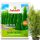  Inco Fruktovit fertilizer for Thuja 10 kg