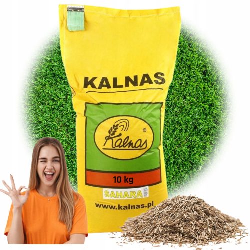  Ornamental, garden and sports lawn Kalnas 400 m² 10 kg