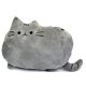  CAT PILLOWS, CUDDLES, CAT MASCOT, COLORS