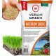  Grass for dry areas Verum Green 1000 m² 25 kg