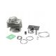  REPAIR KIT CYLINDER FOR PETROL BRITCHER 44 mm + Spark Plug for Petrol Brushcutter Kosa Demon