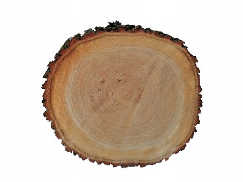  OAK disc for sidewalk, garden path, diameter 40 cm